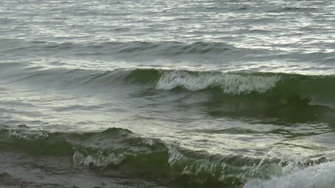 Waves of the sea surf Stock Footage 220068600