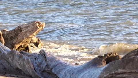 Waves of the sea surf 스톡 동영상 281194802