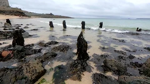 Waves Sea Weed Slow Motion Stock Footage 163093009