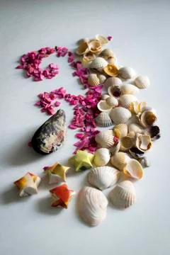 Waves seashell Stock Photos