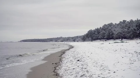 Waves on seashore during winter 스톡 동영상 73011264