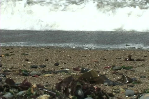 Waves on the seashore 库存影片 306481