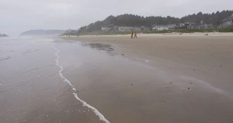 Waves at seashore 動画素材 101215447