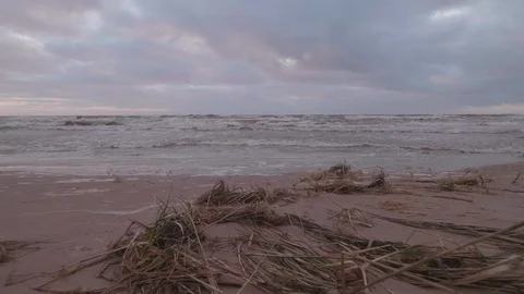 Waves at the seashore on a windy day Stock Footage 125285960