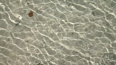 Waves in shallow clear water Video stock 144321663