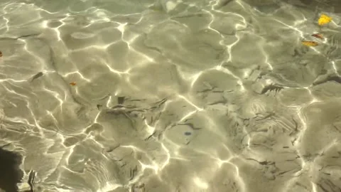 Waves in shallow clear water Video stock 144328936