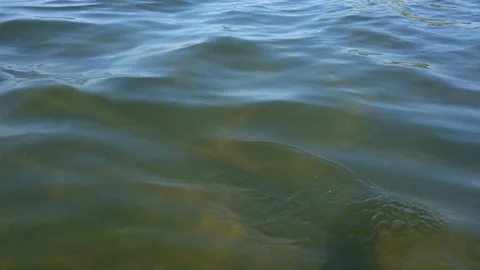 Waves on a shallow lake. Stock Footage 126619471