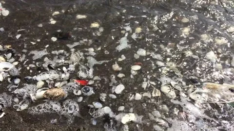 Waves On The Shells Fragments With Sound Stock Footage 130657099