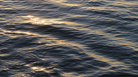 Waves on the shore of the Atlantic Ocean at sunset, Lanzarote island, Spain Stock Footage 304704968
