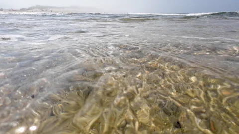 Waves on the shore of a beach in summer, video recorded at sea surface leve.. Vídeo Stock 288476498