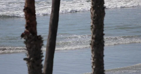 Waves On Shore Beyond Palm Trees Stock Footage 232527886