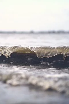 Waves at the shore of Elbe river Stock Photos