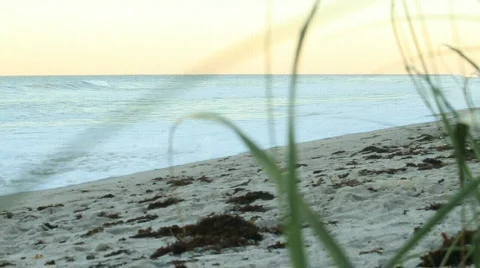 Waves on Shore Stock Footage 611095