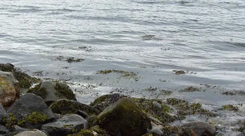 Waves on the shore Video stock 2468947