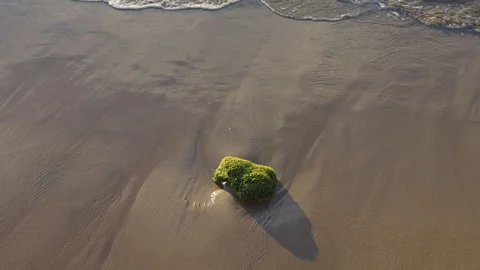 Waves on the shore Stock Footage 304823457