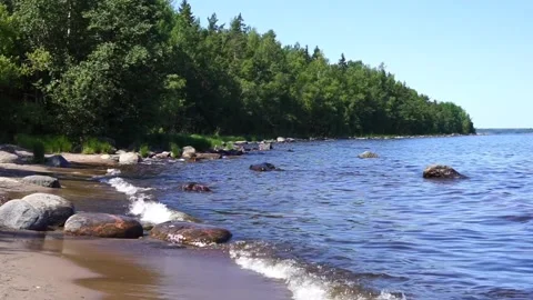 Waves on the shore of a lake against the backdrop of a forest Stock Footage 314273548