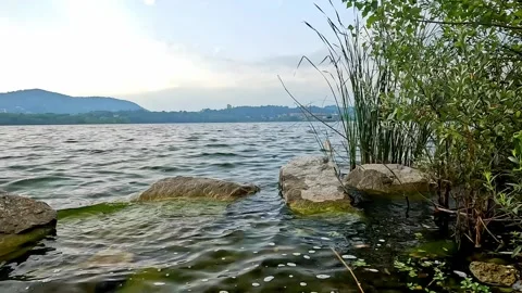 Waves on the shore of Lake Comabbio Stock Footage 317346569