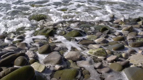 Waves on the Shoreline Stock Footage