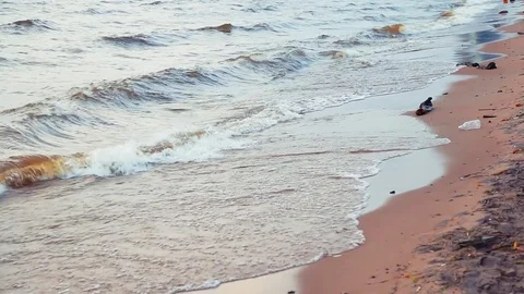 Waves on the shores of the Baltic Sea Stock Footage 82085302