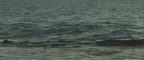 Waves Slow-motion, Anamorphic, 3K Stock Footage 46028725