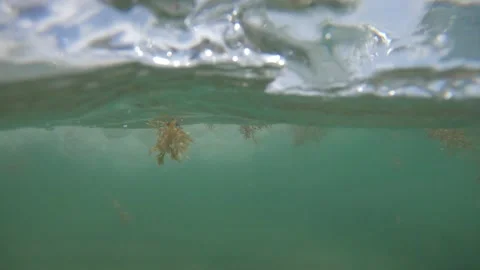 Waves Slow Motion Stock Footage 200797253