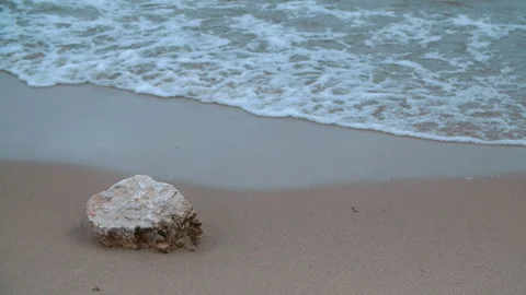 Waves in slow motion roll up to a rock lying on the seashore Stock-Footage 289808602