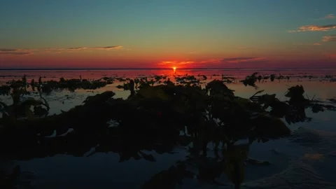 Waves slowly float towards the shore with turquoise red and pink sunset sun and Vidéo 249475881