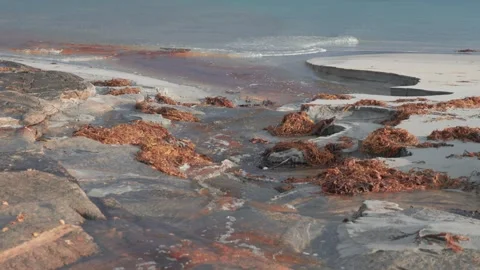 Waves slowly roll on the sandy beach as the shallow stream flows through Stock Footage 276514249