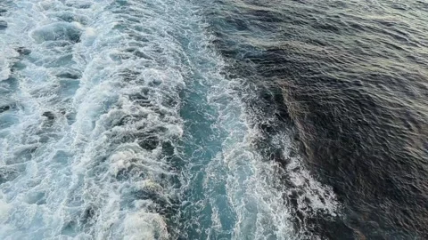 Waves SlowMotion Video stock 230115705