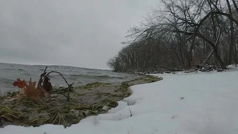 Waves on snowy beach Stock Footage 225508404