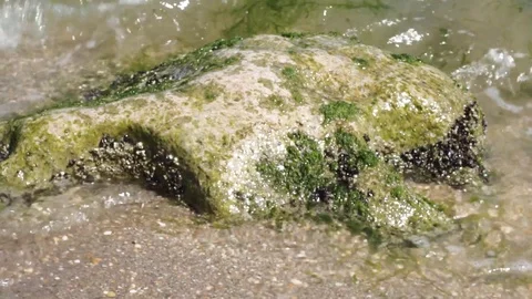 Waves splashing the rock Stock Footage 112889916