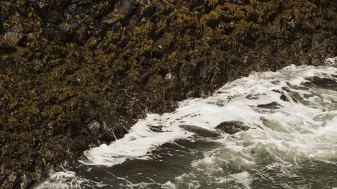 Waves splashing on rocky coast Stock Footage 108733649