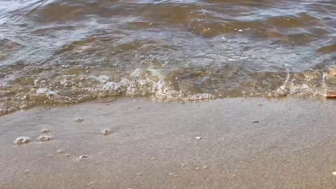 Waves splashing on the sandy bank of the river Stock Footage 129885106