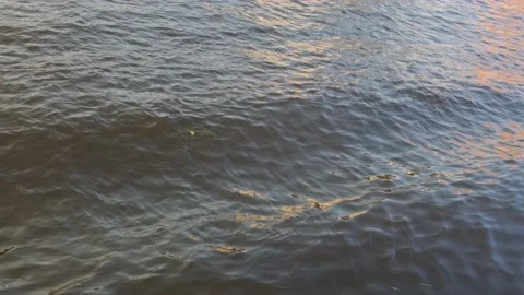 Waves spread out on the flowing water in the channel Stock Footage 157993156
