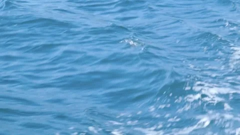 Waves by the stern Stock Footage 295918304