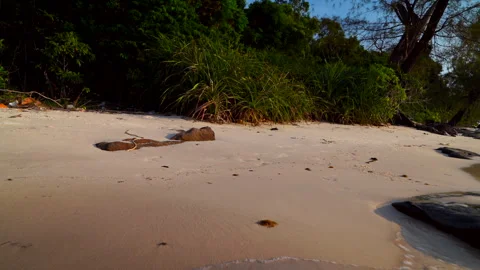 Waves at stone beach on sunset sky. Ocean shoreline. Wild sand beach. Stock Footage 326871115