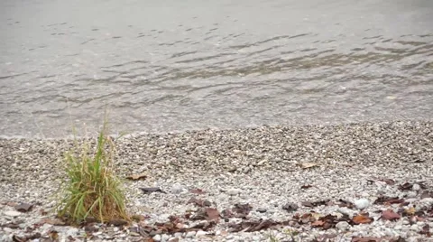 Waves on Stones Stock Footage 50882688