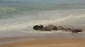 Waves striking the rocks at shoreline in Sri Lanka HD Footage