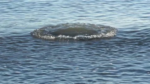 Waves submerging large tractor tire on beach Stock Footage 233902908
