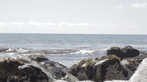 Waves in the summer on rocky beach Stock Footage 233382777