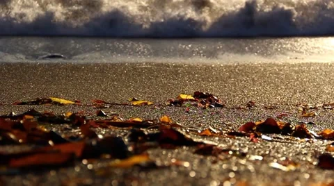 Waves in the sunset - Close Up Stock Footage 49782855