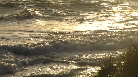 Waves in sunset Stock Footage 773703