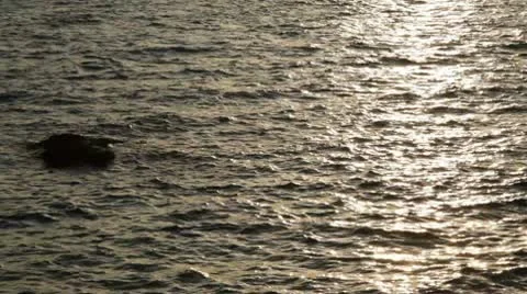 Waves Sunset Stock Footage 10736231