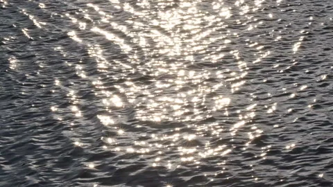 Waves at sunset Stock Footage 300867428