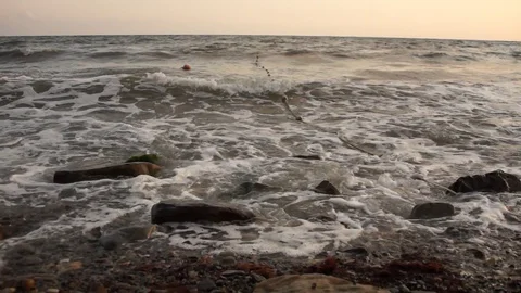 Waves sunset sea Stock Footage 113397173