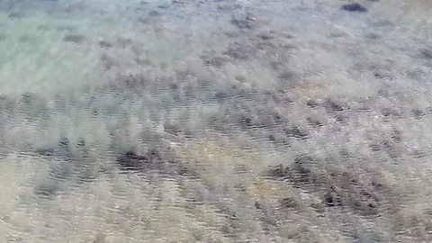 Waves on the surface clear water. Stock Footage 88397640