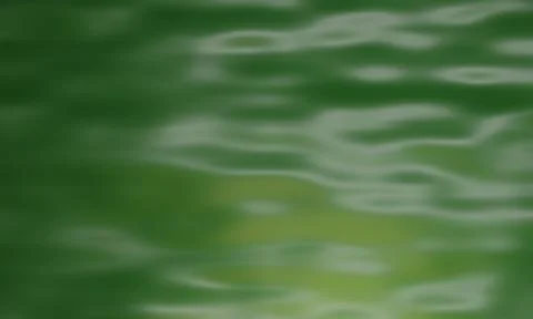 The waves on the surface of the green reflections in yellow. The wavy marks o Illustrazione stock