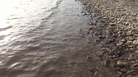 Waves on the surface of the lake Stock Footage 118267378