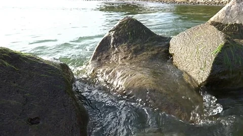 Waves on the surface of the lake Stock Footage 118267841