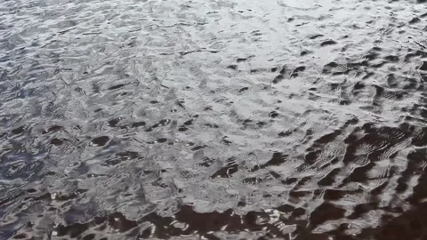 Waves on the surface of the river. Stock Footage 197573269